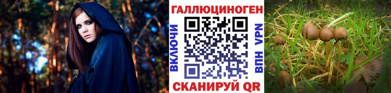 купить наркоту  мега ссылка  Галлюциногенные грибы GOLDEN TEACHER  Таганрог 
